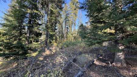 Private Wooded Retreat for Sale in Orofino, Idaho - image 46