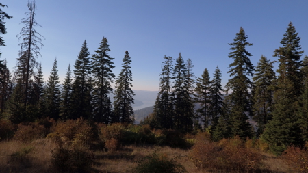 Private Wooded Retreat for Sale in Orofino, Idaho - image 2