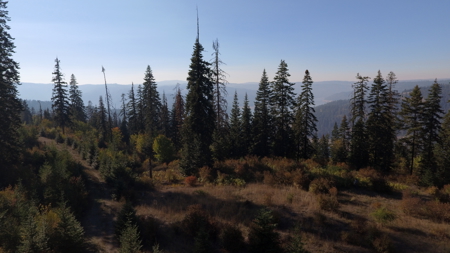 Private Wooded Retreat for Sale in Orofino, Idaho - image 23