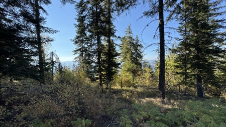 Private Wooded Retreat for Sale in Orofino, Idaho - image 50