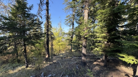 Private Wooded Retreat for Sale in Orofino, Idaho - image 44