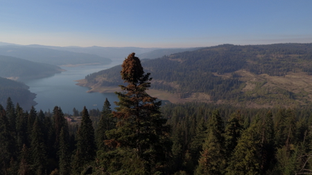 Private Wooded Retreat for Sale in Orofino, Idaho - image 18