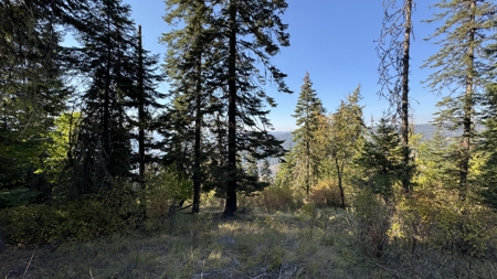 Private Wooded Retreat for Sale in Orofino, Idaho - image 41