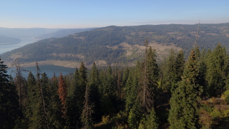 Private Wooded Retreat for Sale in Orofino, Idaho - image 27