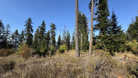 Private Wooded Retreat for Sale in Orofino, Idaho - image 31