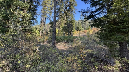 Private Wooded Retreat for Sale in Orofino, Idaho - image 47