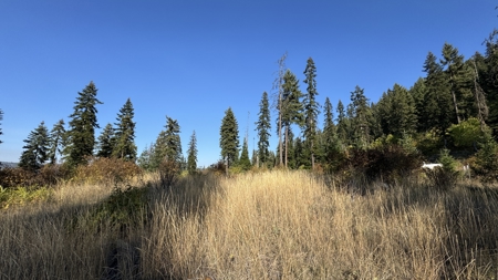 Private Wooded Retreat for Sale in Orofino, Idaho - image 38