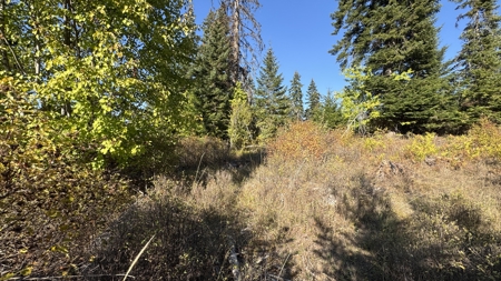 Private Wooded Retreat for Sale in Orofino, Idaho - image 40