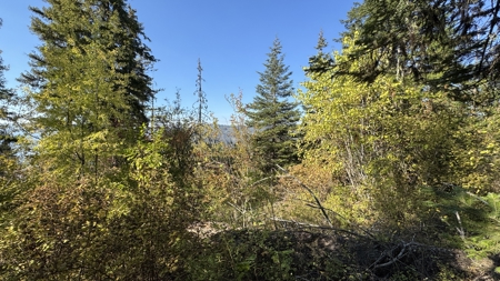 Private Wooded Retreat for Sale in Orofino, Idaho - image 48
