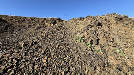 Investment and Income-Producing Opportunity in Grangeville, ID - image 18