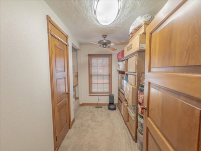 Home on 41 Acres , Country Living - Close to town - image 19