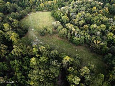 Magnolia Wilds – Premier Louisiana Investment Property for Sale - image 12