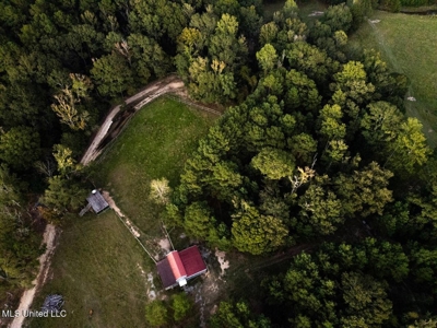 Magnolia Wilds – Premier Louisiana Investment Property for Sale - image 15