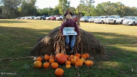 Magnolia Wilds – Premier Louisiana Investment Property for Sale - image 33