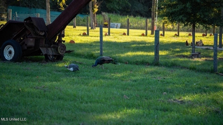 Magnolia Wilds – Premier Louisiana Investment Property for Sale - image 19