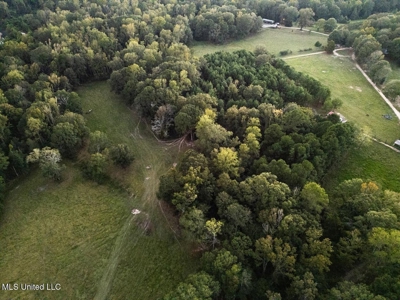 Magnolia Wilds – Premier Louisiana Investment Property for Sale - image 13