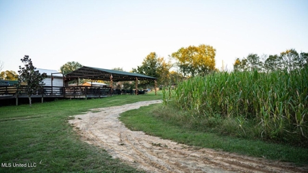 Magnolia Wilds – Premier Louisiana Investment Property for Sale - image 31