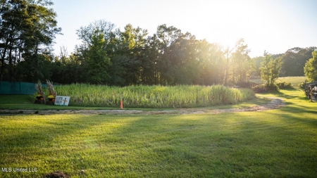 Magnolia Wilds – Premier Louisiana Investment Property for Sale - image 21