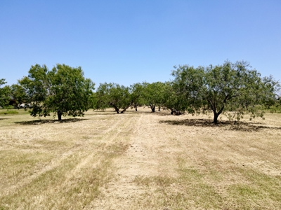 Waterfront Lot For Sale on Lake Corpus Christi - image 14