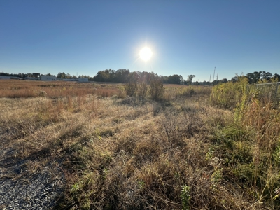 7 Commercial Acres and 3 Buildings For Sale, Hwy 65, Damascus, AR - image 8