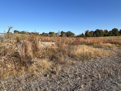 7 Commercial Acres and 3 Buildings For Sale, Hwy 65, Damascus, AR - image 10