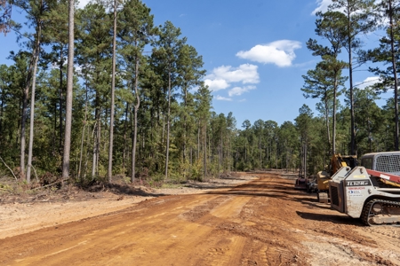 8.218 Acres Residential Lot for Sale in Ruston, LA - image 7