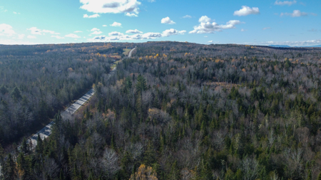 115± Acres with Trout Brook, Power & Paved Road Access - image 7