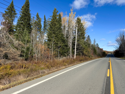 115± Acres with Trout Brook, Power & Paved Road Access - image 14