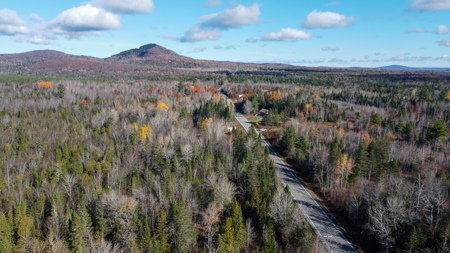 115± Acres with Trout Brook, Power & Paved Road Access - image 9