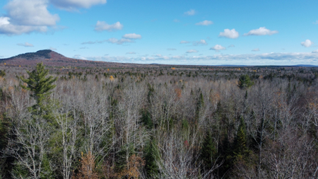 115± Acres with Trout Brook, Power & Paved Road Access - image 10