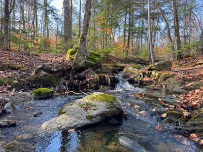 115± Acres with Trout Brook, Power & Paved Road Access - image 28