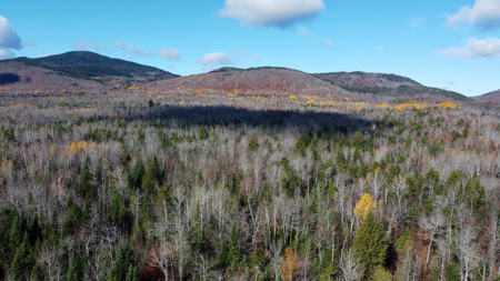 115± Acres with Trout Brook, Power & Paved Road Access - image 12