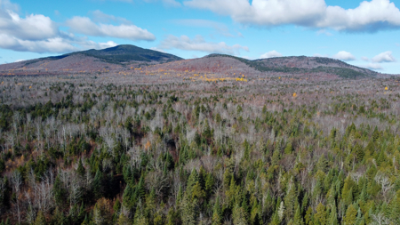 115± Acres with Trout Brook, Power & Paved Road Access - image 6