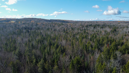 115± Acres with Trout Brook, Power & Paved Road Access - image 2
