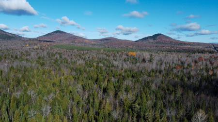 115± Acres with Trout Brook, Power & Paved Road Access - image 5