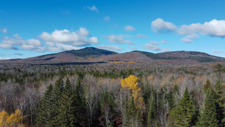 115± Acres with Trout Brook, Power & Paved Road Access - image 1