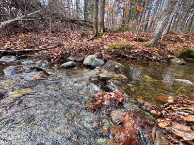 115± Acres with Trout Brook, Power & Paved Road Access - image 19