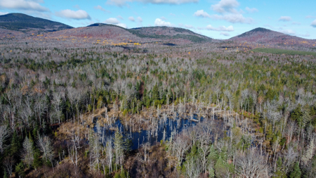 115± Acres with Trout Brook, Power & Paved Road Access - image 8