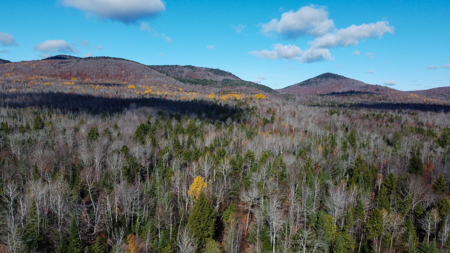 115± Acres with Trout Brook, Power & Paved Road Access - image 11