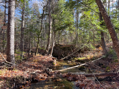 115± Acres with Trout Brook, Power & Paved Road Access - image 29