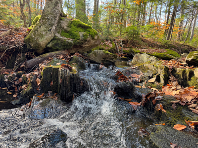115± Acres with Trout Brook, Power & Paved Road Access - image 27