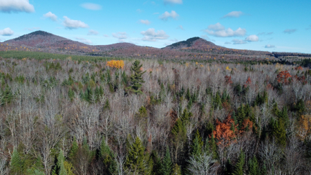 115± Acres with Trout Brook, Power & Paved Road Access - image 3