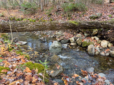 115± Acres with Trout Brook, Power & Paved Road Access - image 20