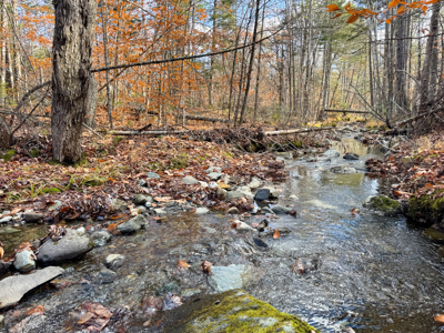 115± Acres with Trout Brook, Power & Paved Road Access - image 18