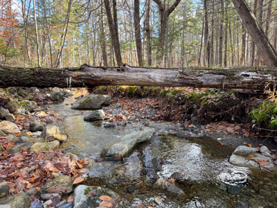 115± Acres with Trout Brook, Power & Paved Road Access - image 21