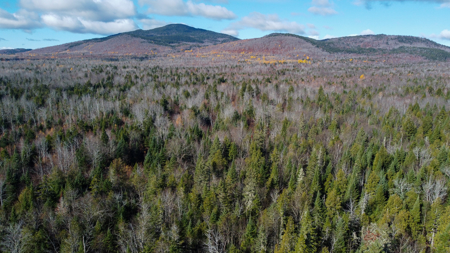 115± Acres with Trout Brook, Power & Paved Road Access - image 4