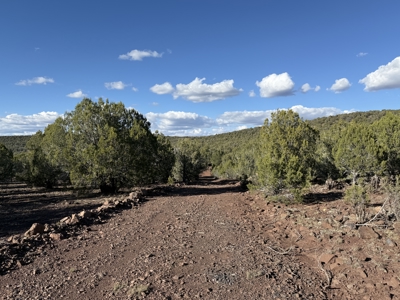 Northern AZ Large Land for Sale with Improvements - image 21