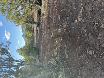 Northern AZ Large Land for Sale with Improvements - image 26