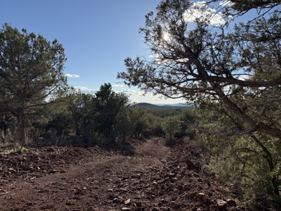 Northern AZ Large Land for Sale with Improvements - image 23
