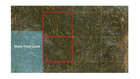Northern AZ Large Land for Sale with Improvements - image 3